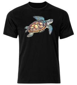 Sea Turtle